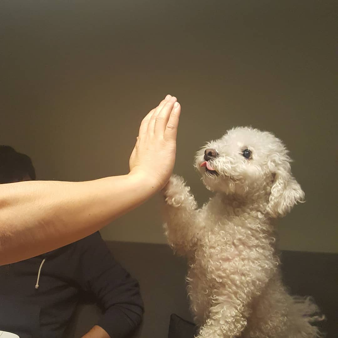 contact